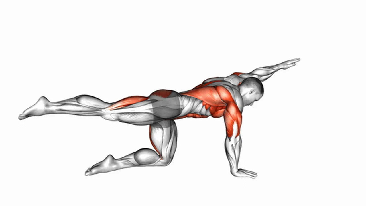 Bird Dog Exercise Exercise Guide How To Muscles Worked Variations Bird Dog Exercise Exercise Guide How To Muscles Worked Variations