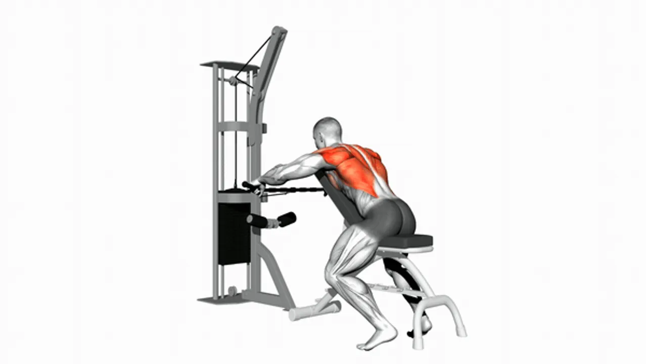 Cable Decline Seated Wide Grip Row