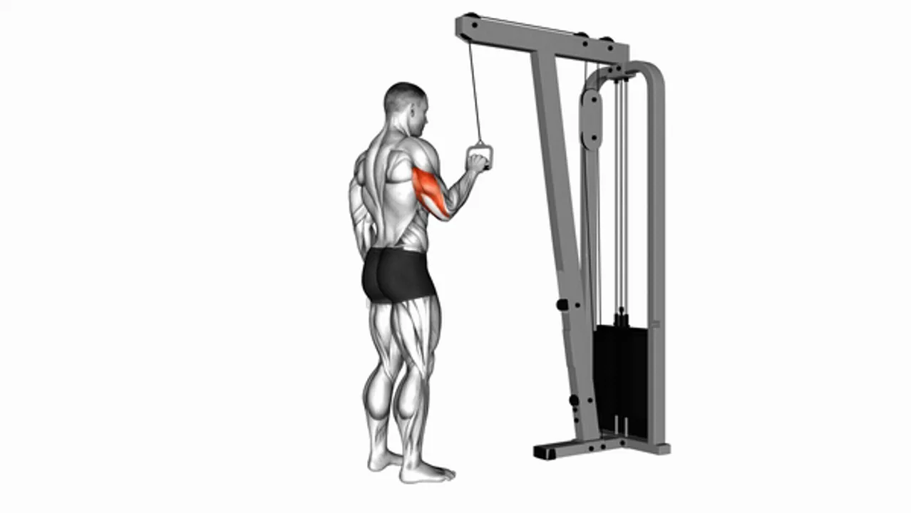 Cable One Arm Tricep Pushdown