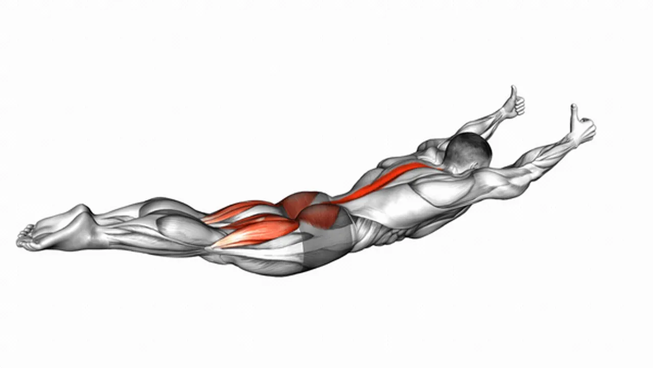 Superman Hold Exercise Guide How To Muscles Worked Variations Superman Hold Exercise Guide How To Muscles Worked Variations