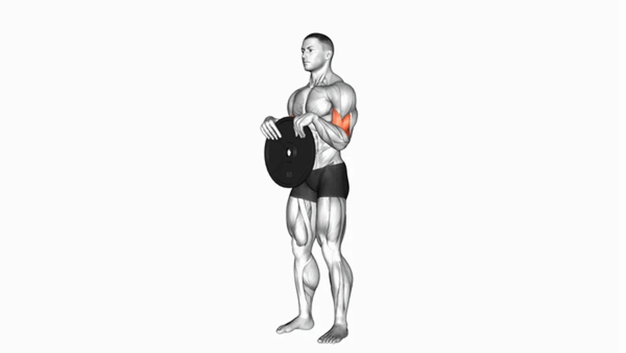 Common Weighted Standing Curl variations Image