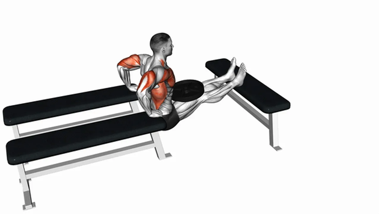 Common variations of Weighted Three Bench Dips Image