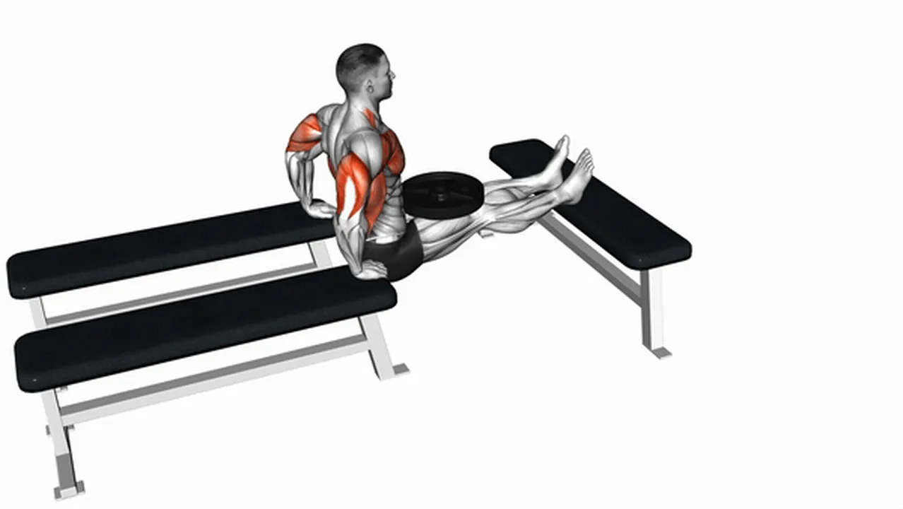 Alternatives to Weighted Three Bench Dips Image